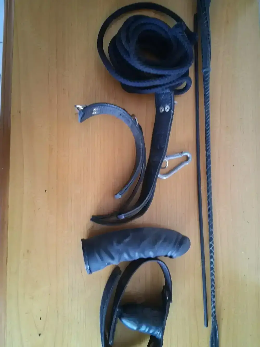 " Unartiges Mädel " soll erzogen und abgerichtet werden?