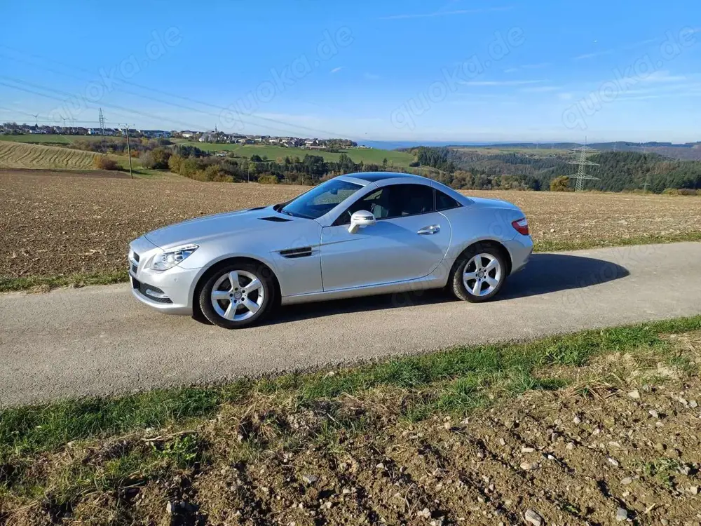 Mercedes-Benz SLK 200 SLK 200 BlueEfficiency (172.448)