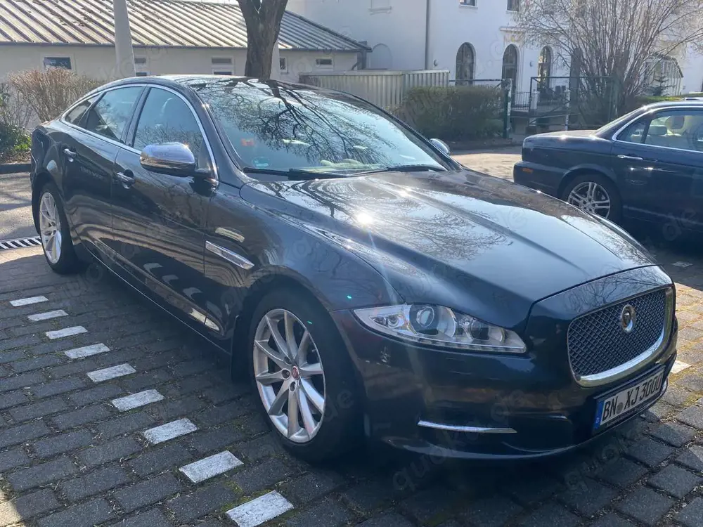 Jaguar XJ XJ 3.0 V6 Diesel S Premium Luxury