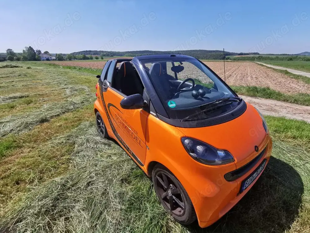 smart forTwo smart fortwo cabrio