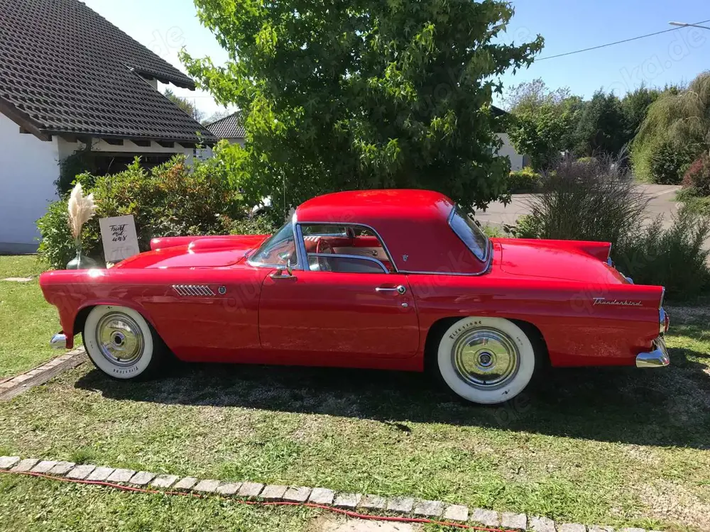 Ford Thunderbird 1955 Thunderbird