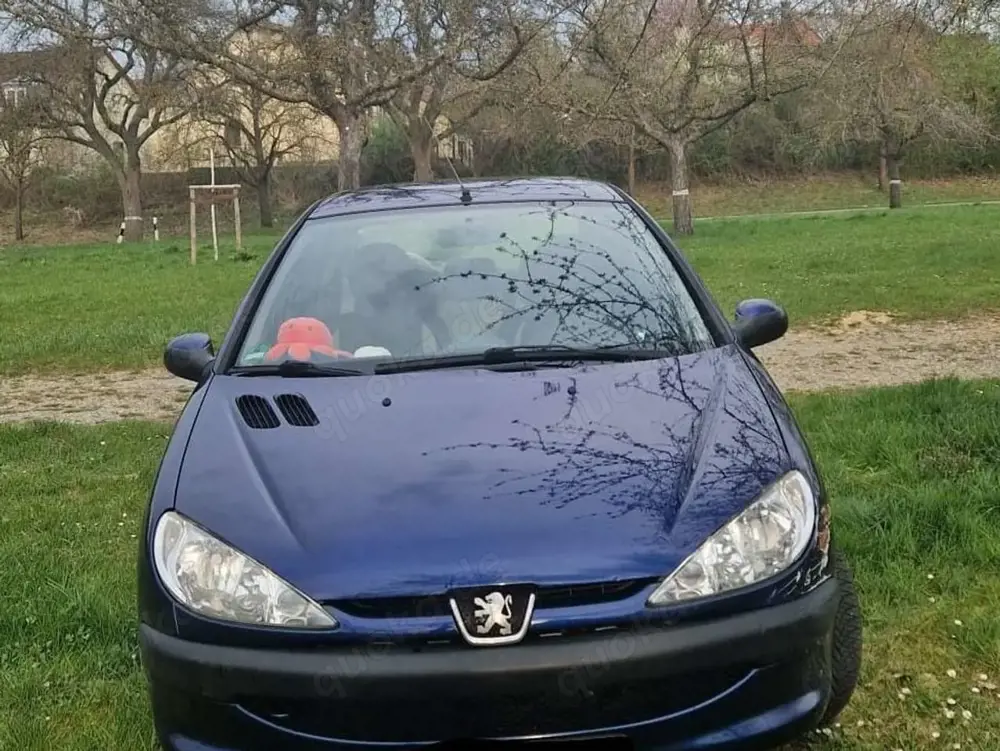 Peugeot 206 Petit Filou