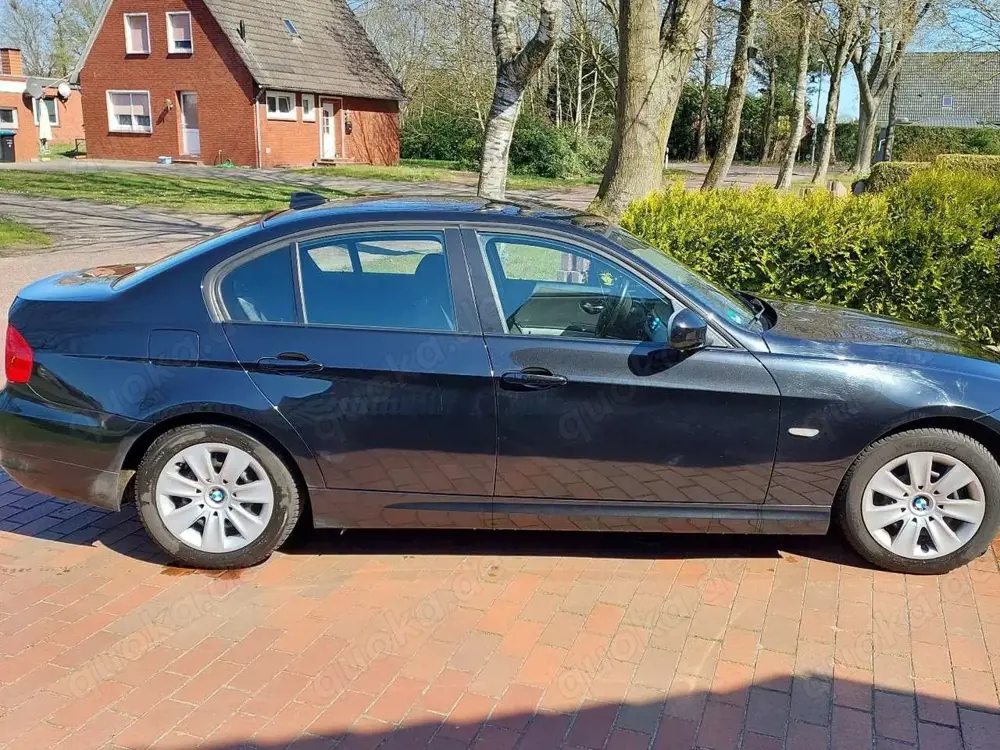 BMW 318 318i