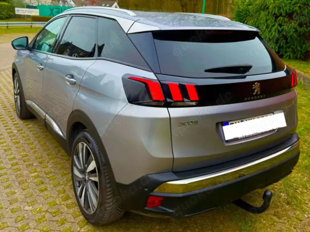 Peugeot 3008 3008 - Glasdach - Reinigung - 2019