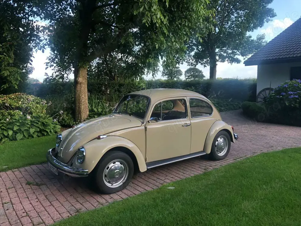 Volkswagen Käfer 1200