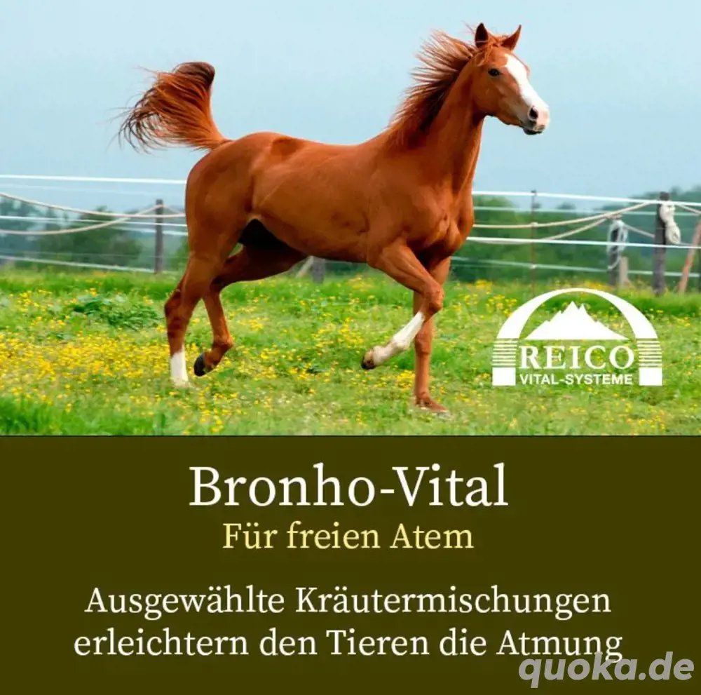 Zusatzfutter für s Pferd von Reico