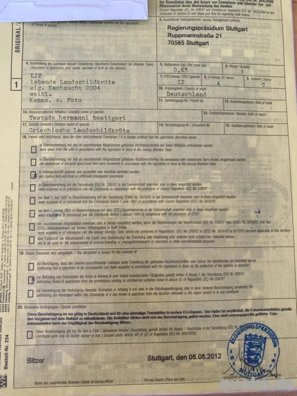 Landschildkröten weibchen 04 08 