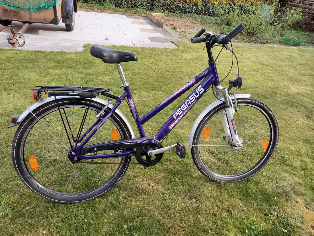 Fahrrad Pegasus