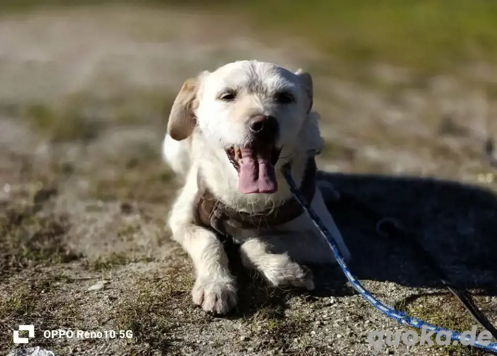 GAYANO    zeigt 'anders sein ist cool'