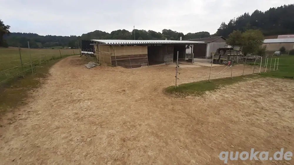 Offenstall-Platz frei 