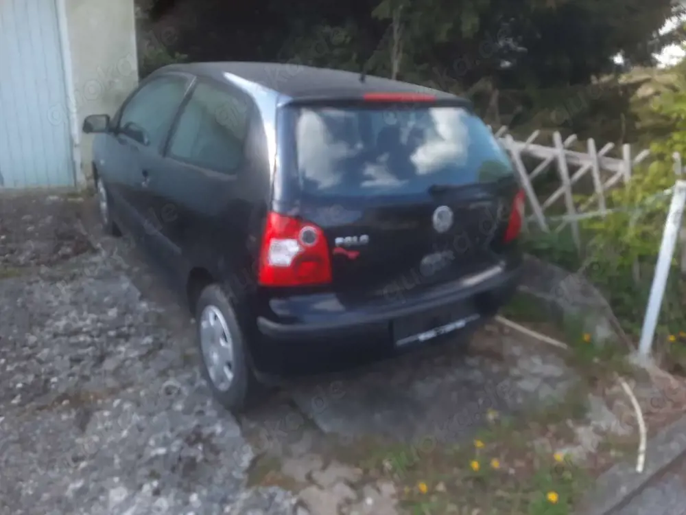 Volkswagen Polo Basis