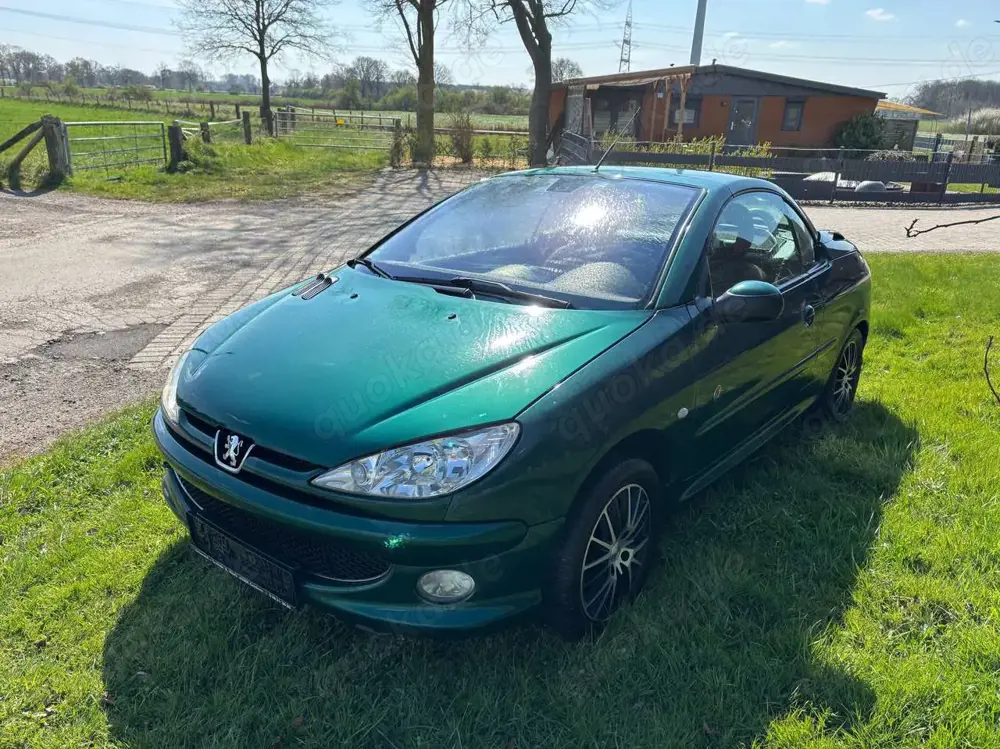 Peugeot 206 206 CC 135 Roland Garros