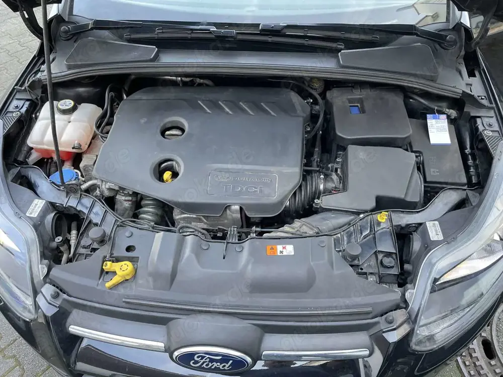 Ford Focus Champions Edition (Neu Inspektion)
