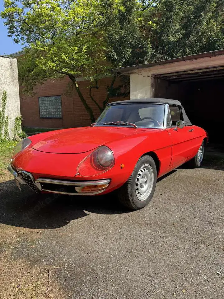 Alfa Romeo Spider Rundheck 1600