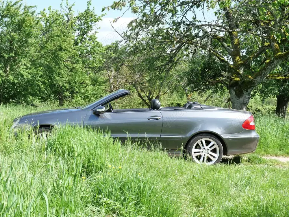 Mercedes-Benz CLK 350 CLK Cabrio 350 7G-TRONIC Avantgarde