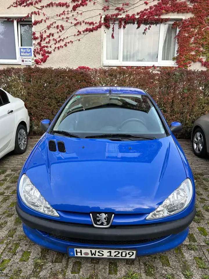 Peugeot 206 206 60 Pop Art