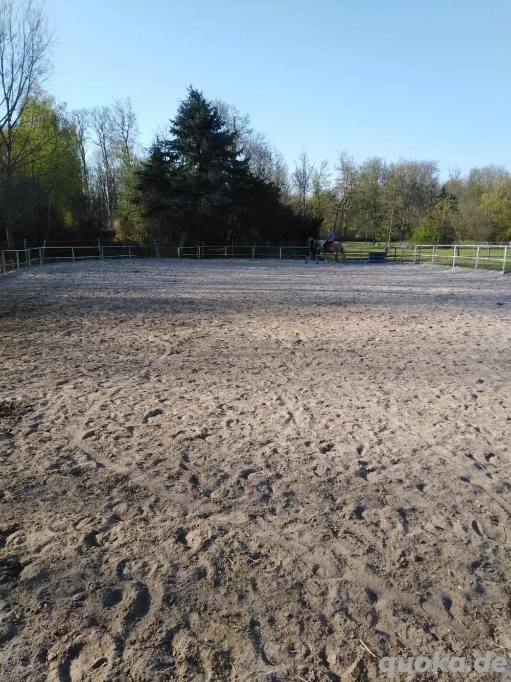 Schöne luftige Pferdebox frei