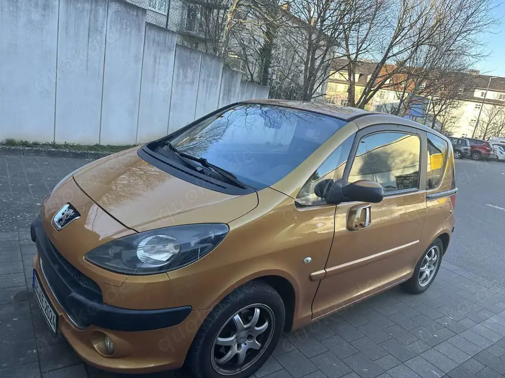 Peugeot 1007 90 Filou