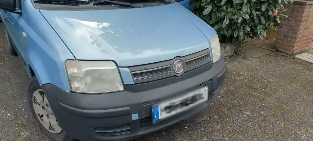 Fiat Panda Panda 1.2 Dynamic