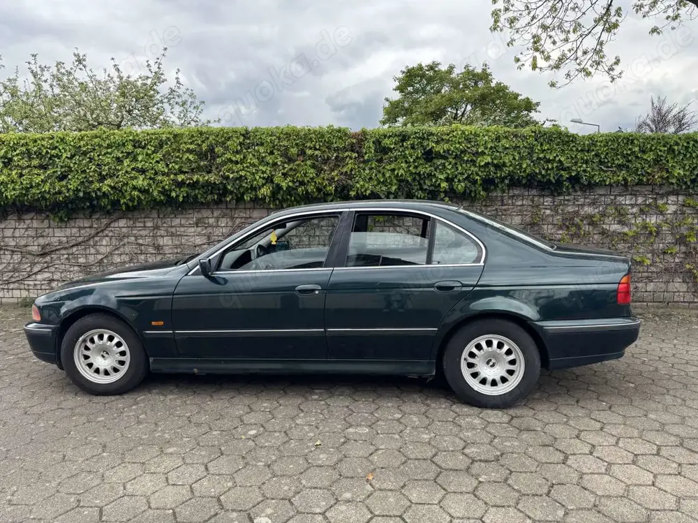 BMW 523 523i