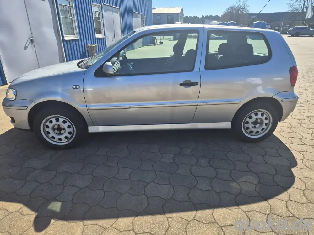 polo 6N Edition