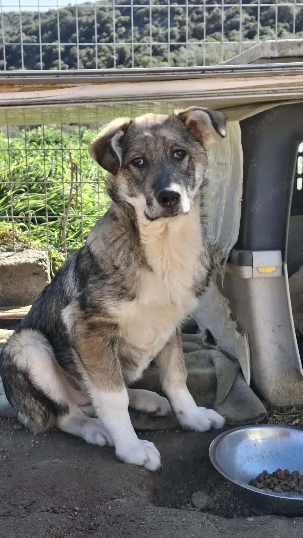 Felix so ein toller Kerl