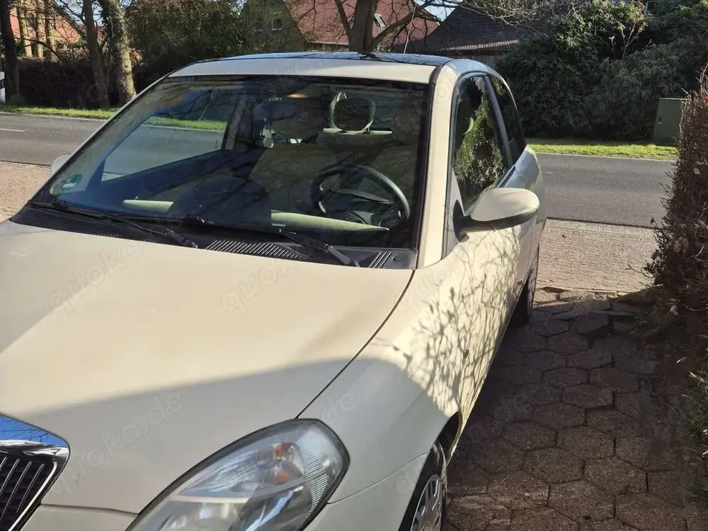 Lancia Ypsilon Y 1.4 16v Platino