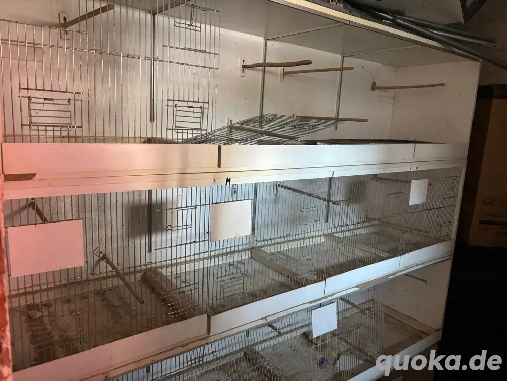 Zuchtboxen mit zubehör