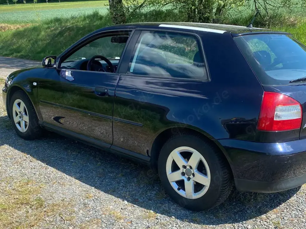 Audi A3 A3 1.6 Attraction