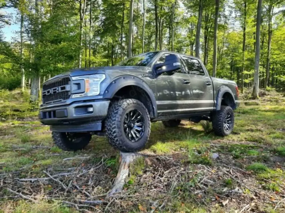 Ford F 150 Super Crew Pickup 4x4 Raptor Optik Texas Edition
