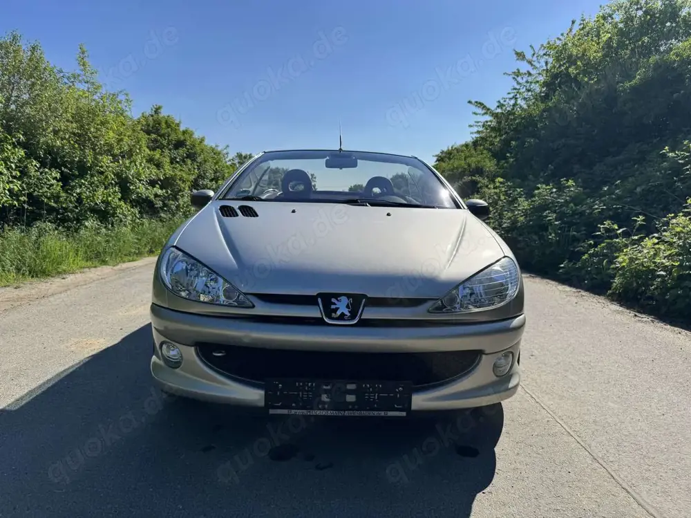 Peugeot 206 CC 110 Roland Garros