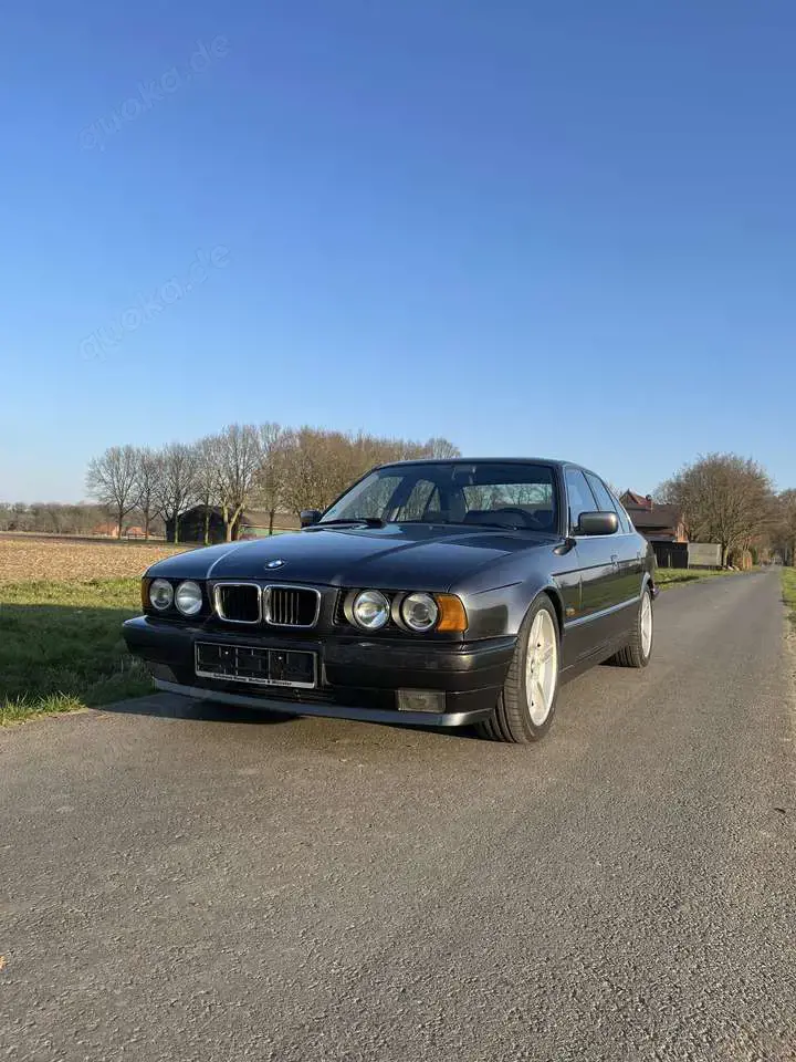 BMW 530 530i V8