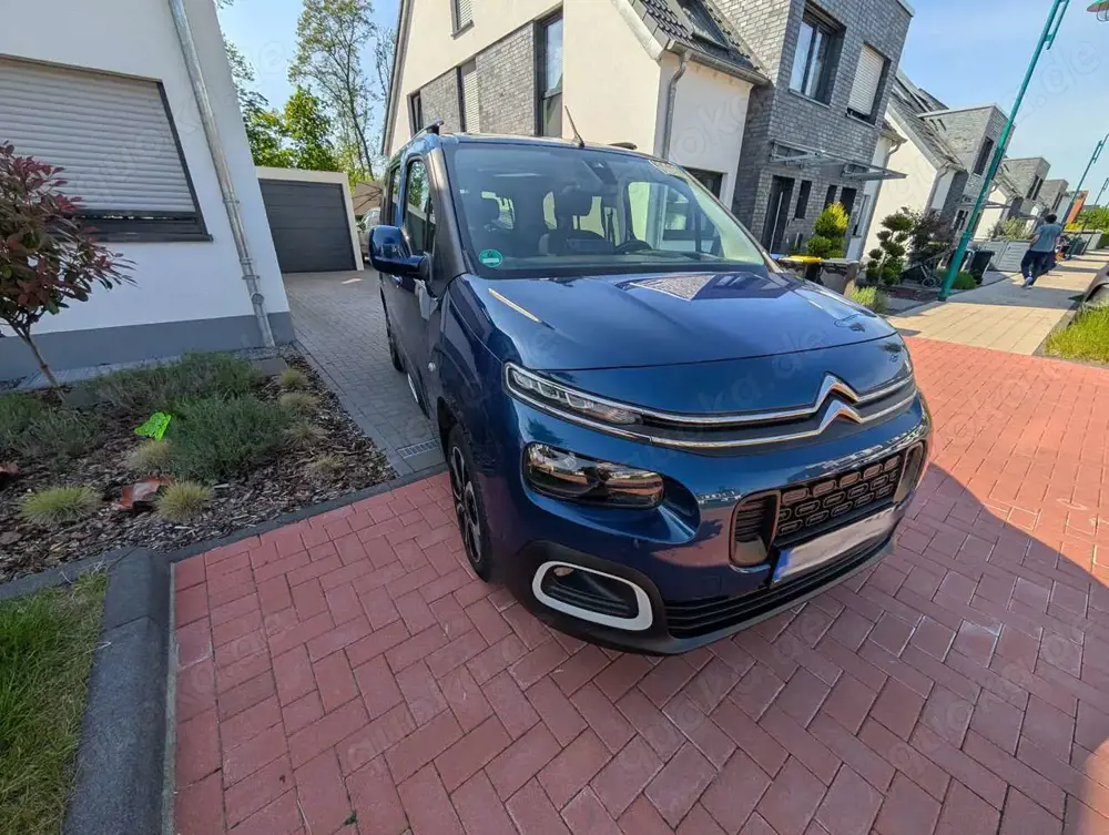 Citroen Berlingo BlueHDi 130 M, SHINE, Panoramadach, Schiebetür