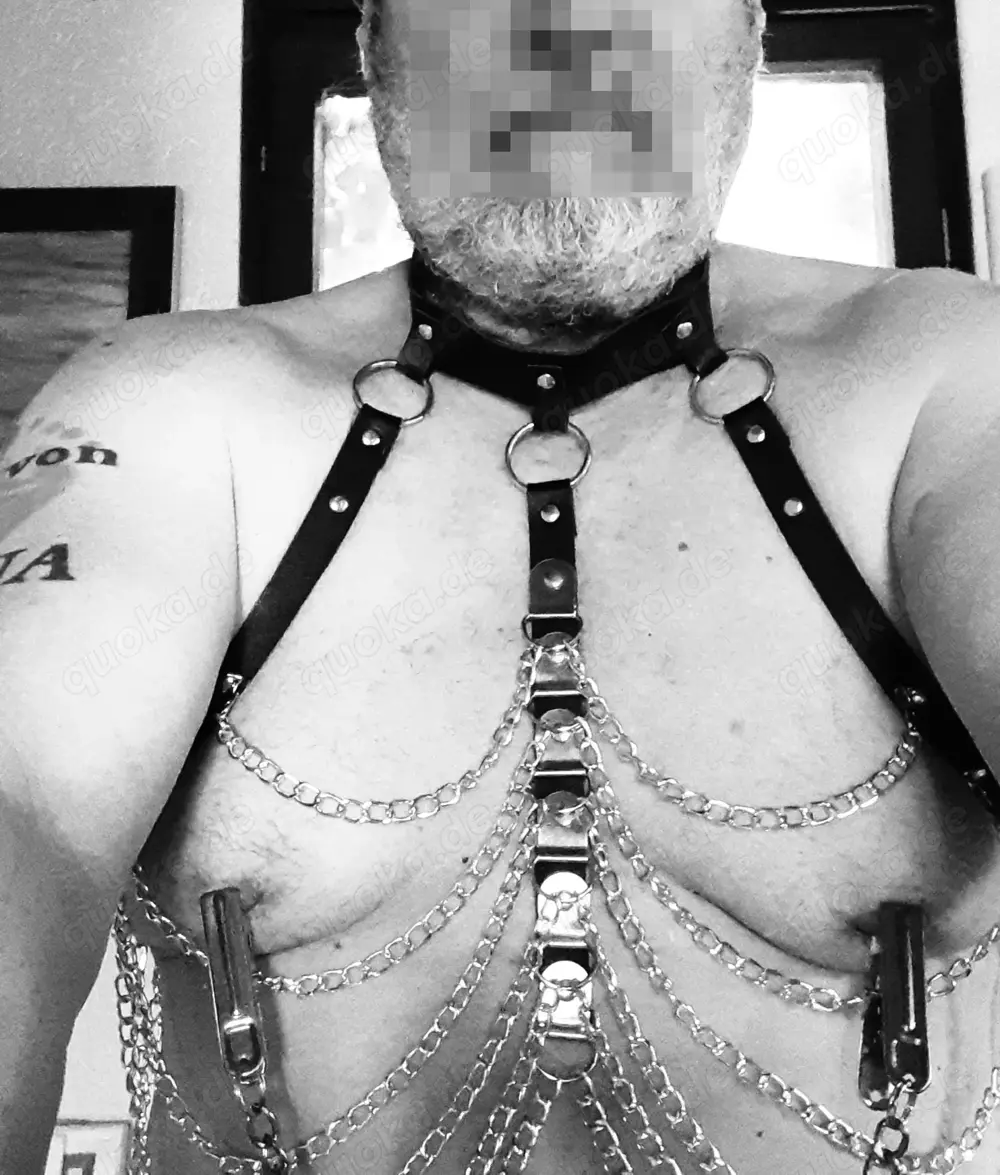 Sklave sucht Herrschaft