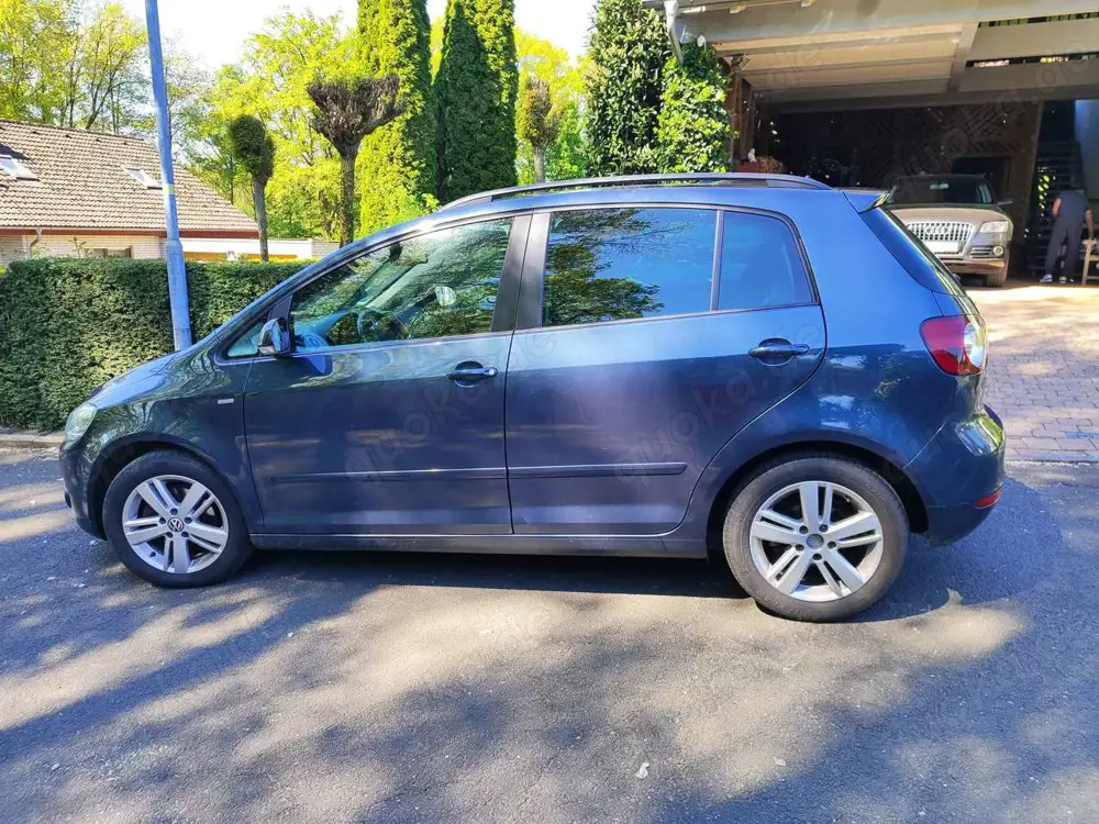Volkswagen Golf Golf Plus 1.6 TDI DPF MATCH