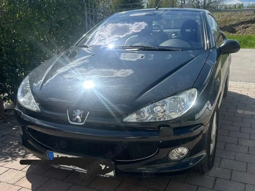 Peugeot 206 206 CC 110 Platinum