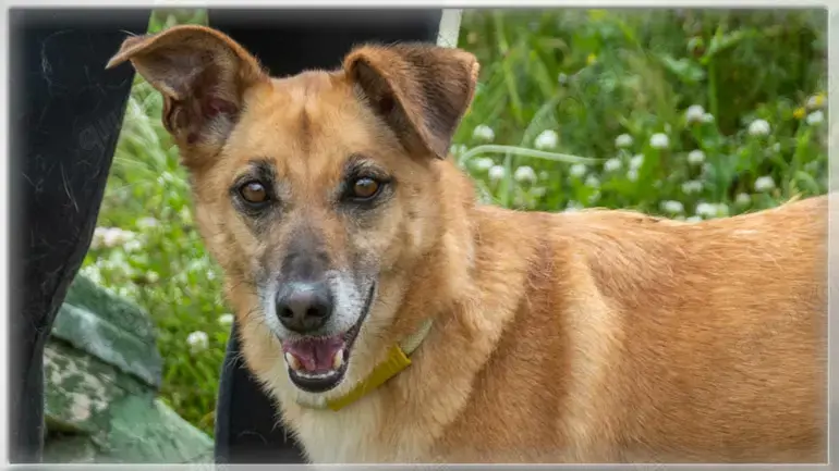 Sunny, eine selbstbewusste Dame!