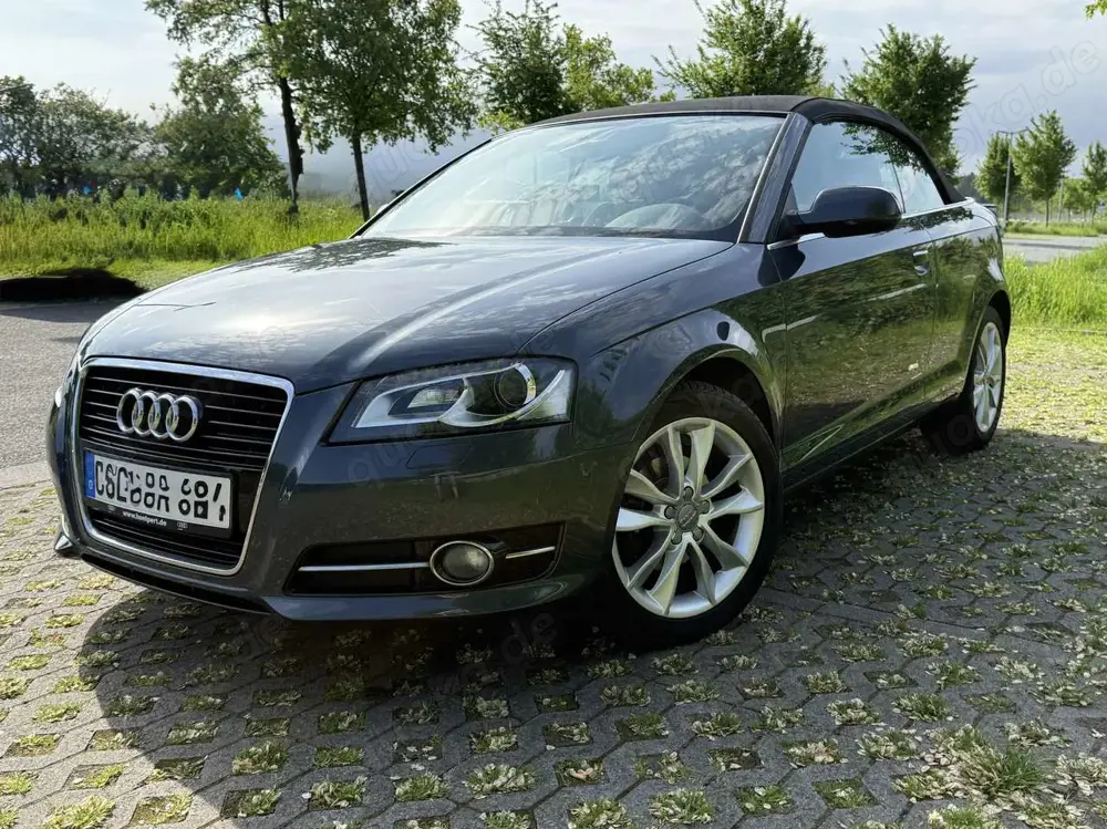 Audi A3 Cabriolet Diesel Cabrio 1.6 TDI DPF Ambition