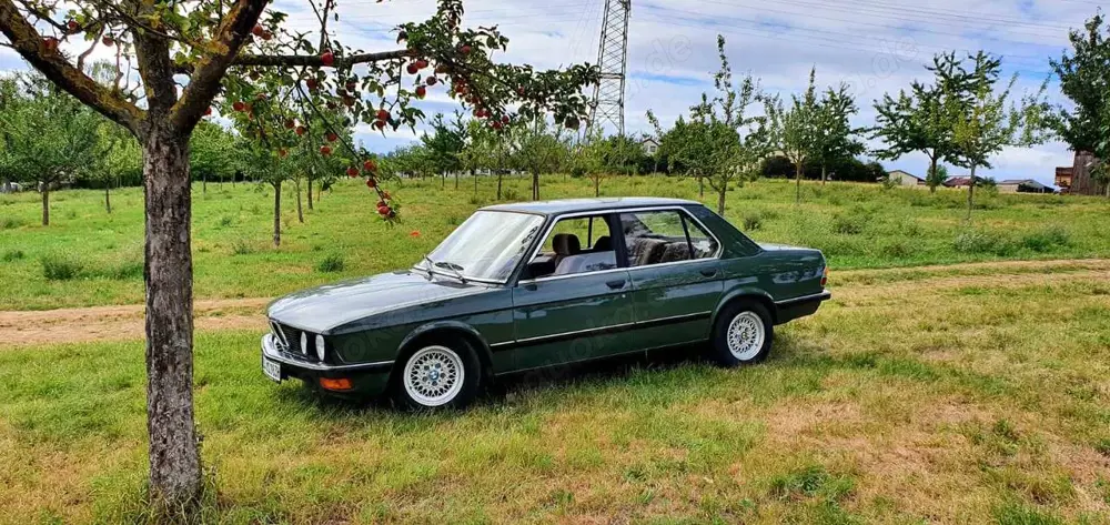 BMW 520 BMW E28 520i Oldtimer