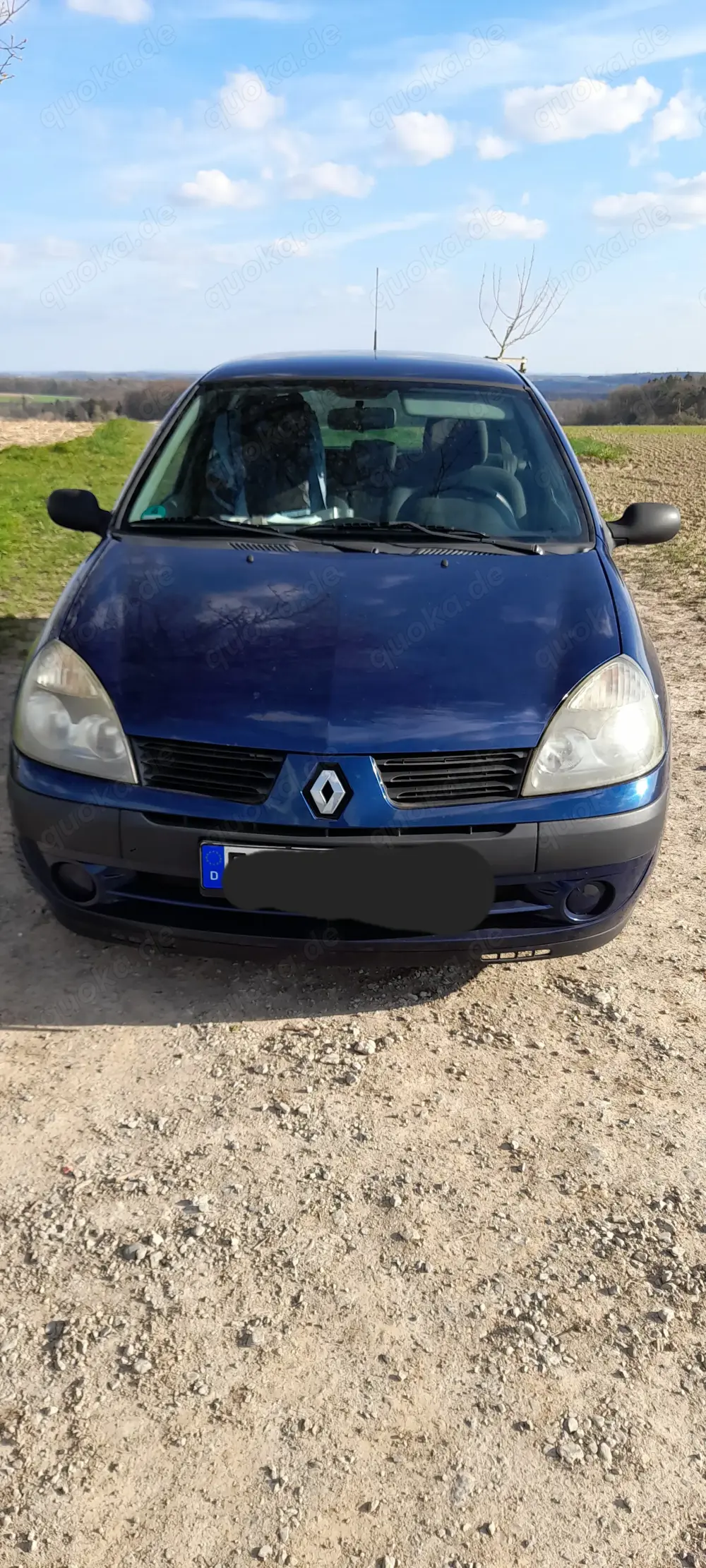 Metallicblauer Clio