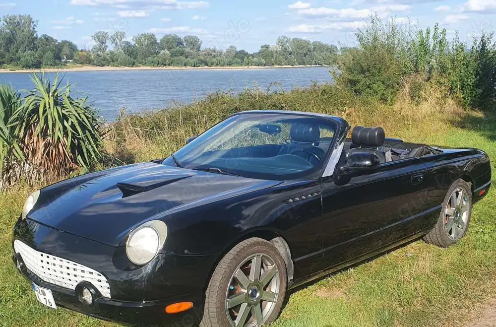 Ford Thunderbird V8-Cabriolet Special-Edition-1. Hand 36500 km