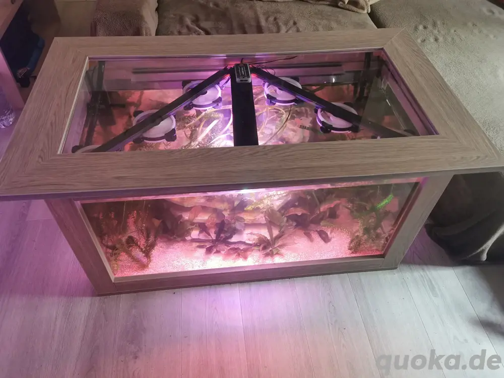 Axolotl Wohnzimmertisch als Aquarium     