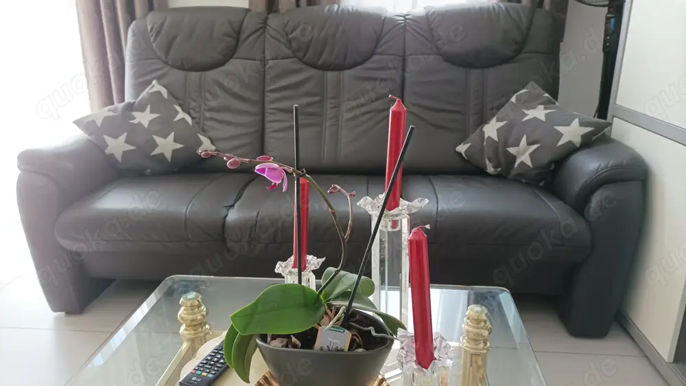 Leder-Sofa 3-Sitzer neuwertig 