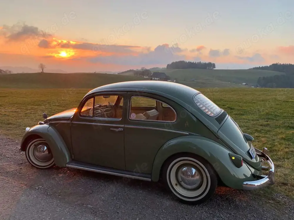 Volkswagen Käfer 1300