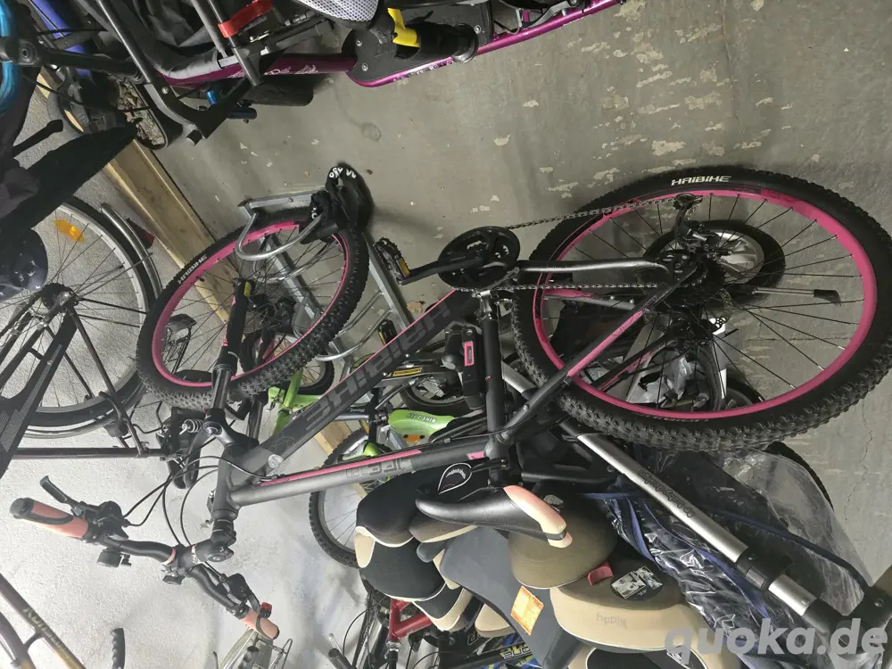 Haibike Life 7,20 Damenbike Haibike Life 7,20 Damenbike
