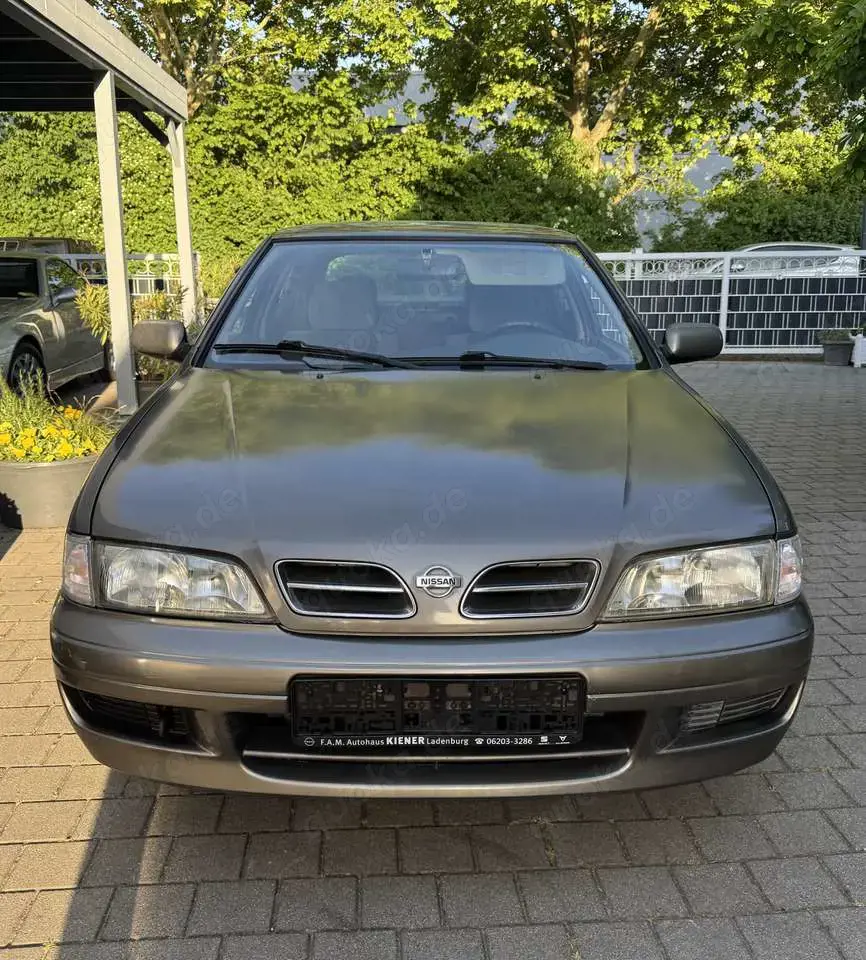 Nissan Primera 2.0 Competence