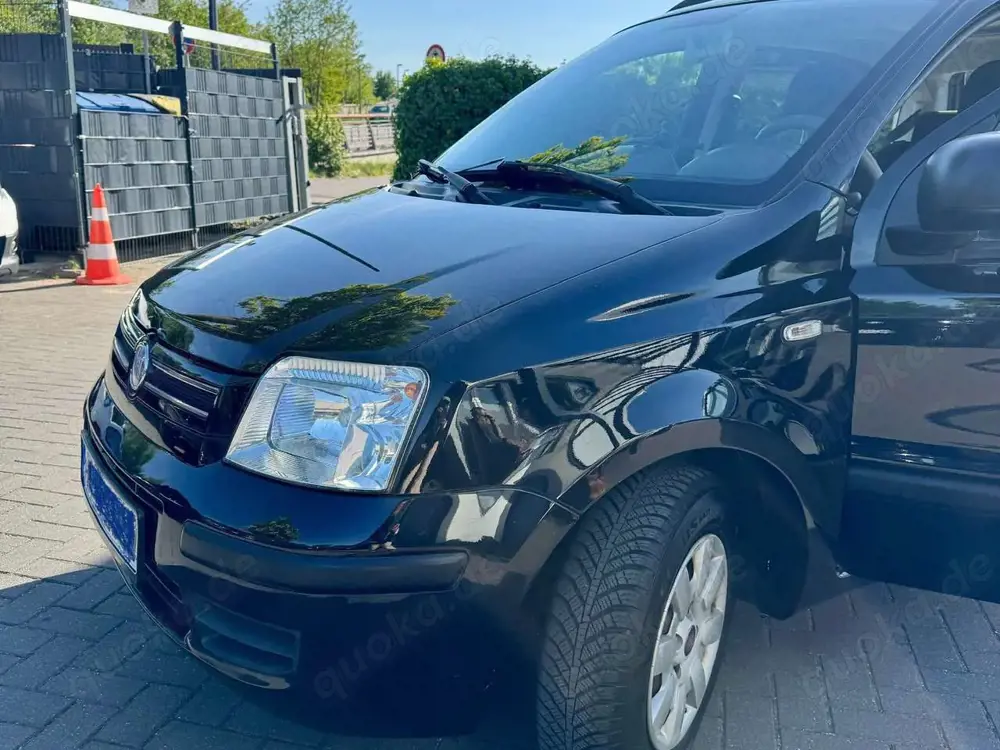 Fiat Panda Panda 1.2 Dynamic