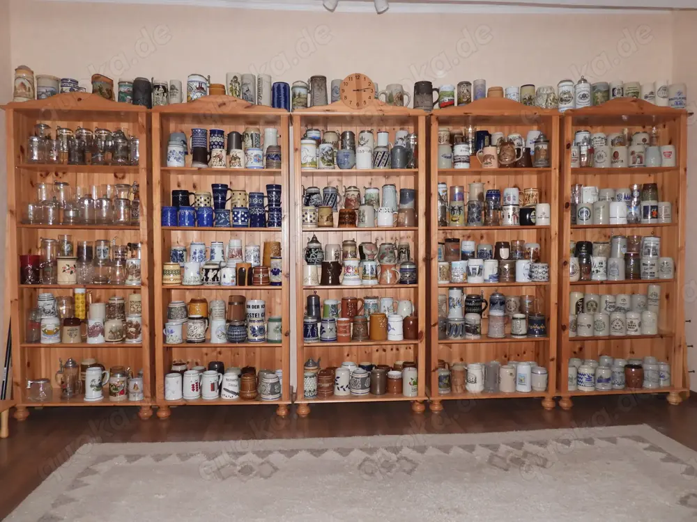 Bierkrugsammlung inklusive Regale