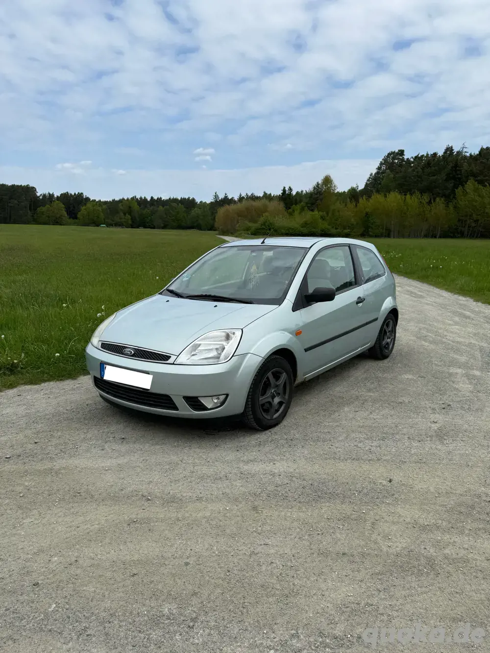 Ford Fiesta in guten Zustand