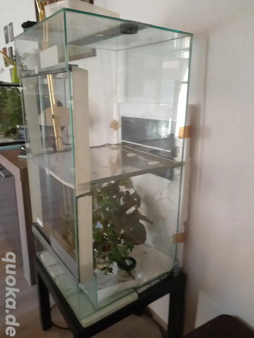 grosses terarium zum Verkauf grosses terarium zum Verkauf